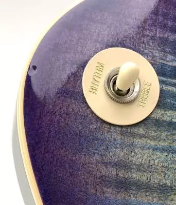 GIBSON 2017 LP STANDARD T-BLUEBERRY BURST 2